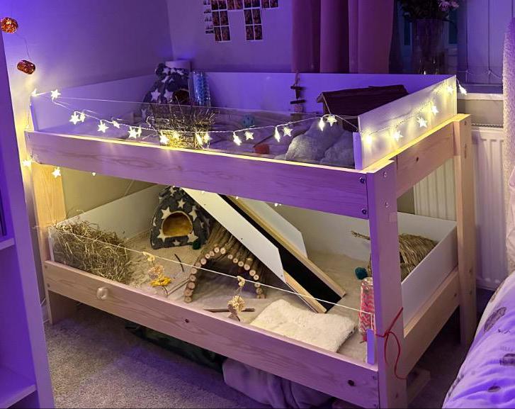 Large Indoor Guinea Pig Enclosure - Two Levels Joined with Ramp
