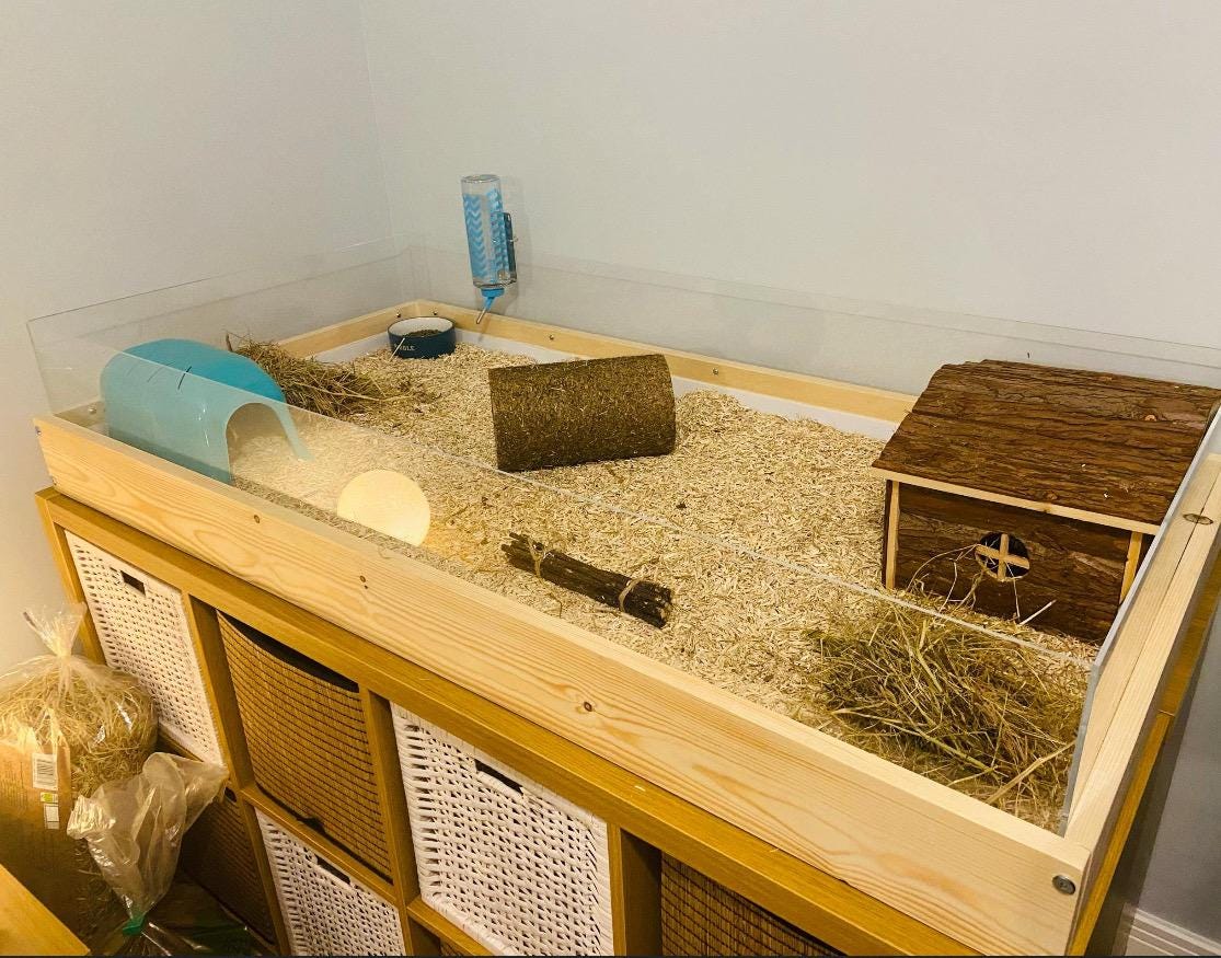 NEW ‘Table Top’ version - Large indoor Guinea Pig Enclosure