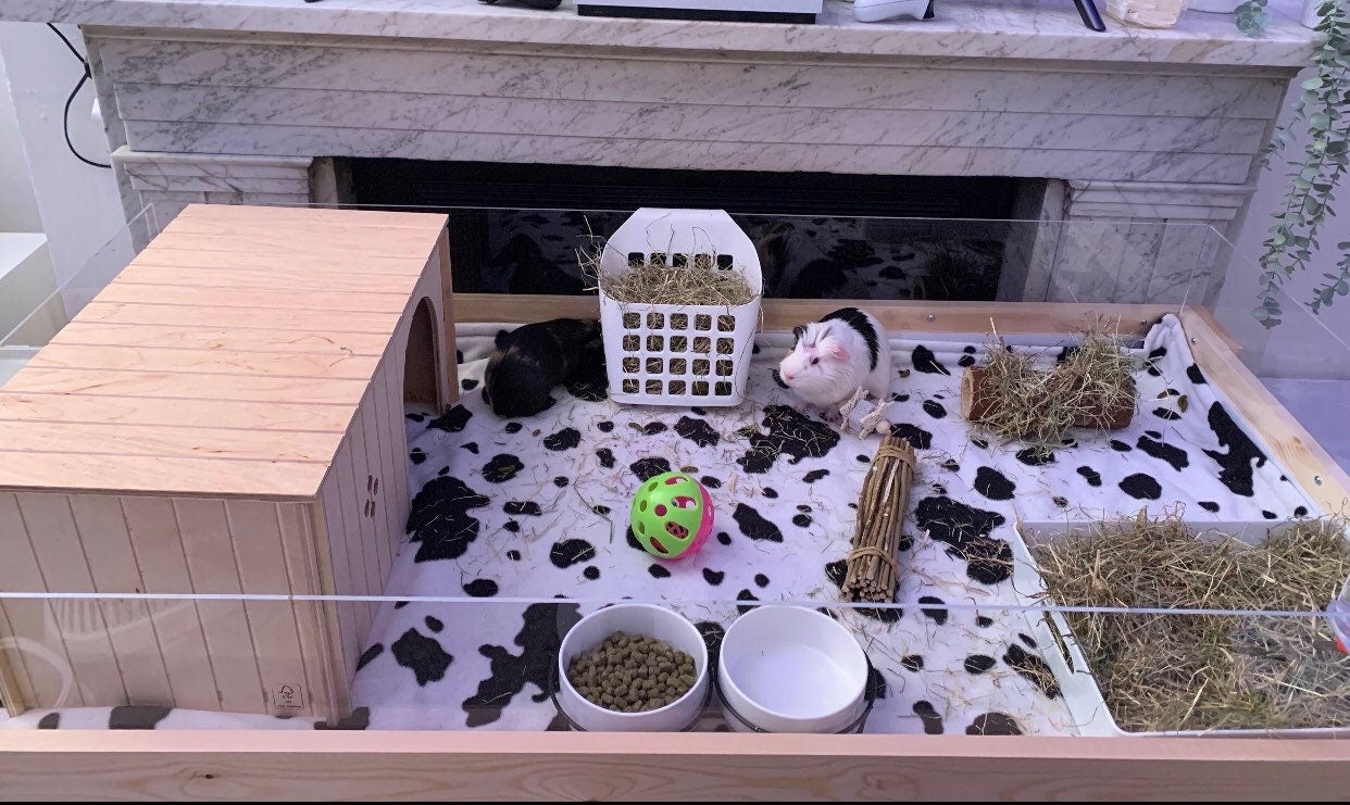 NEW ‘Table Top’ version - Large indoor Guinea Pig Enclosure