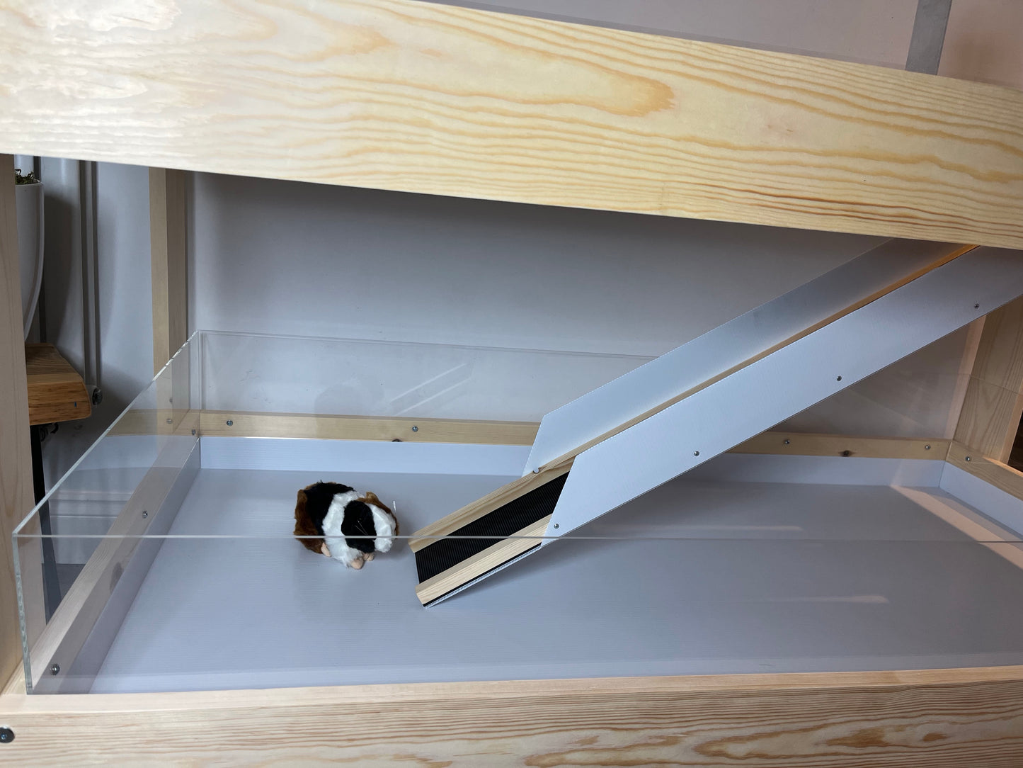Guinea Pig Ramp (1.2m) - Top Quality