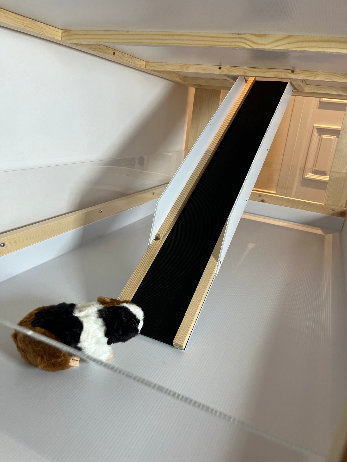 Guinea Pig Ramp (1.2m) - Top Quality