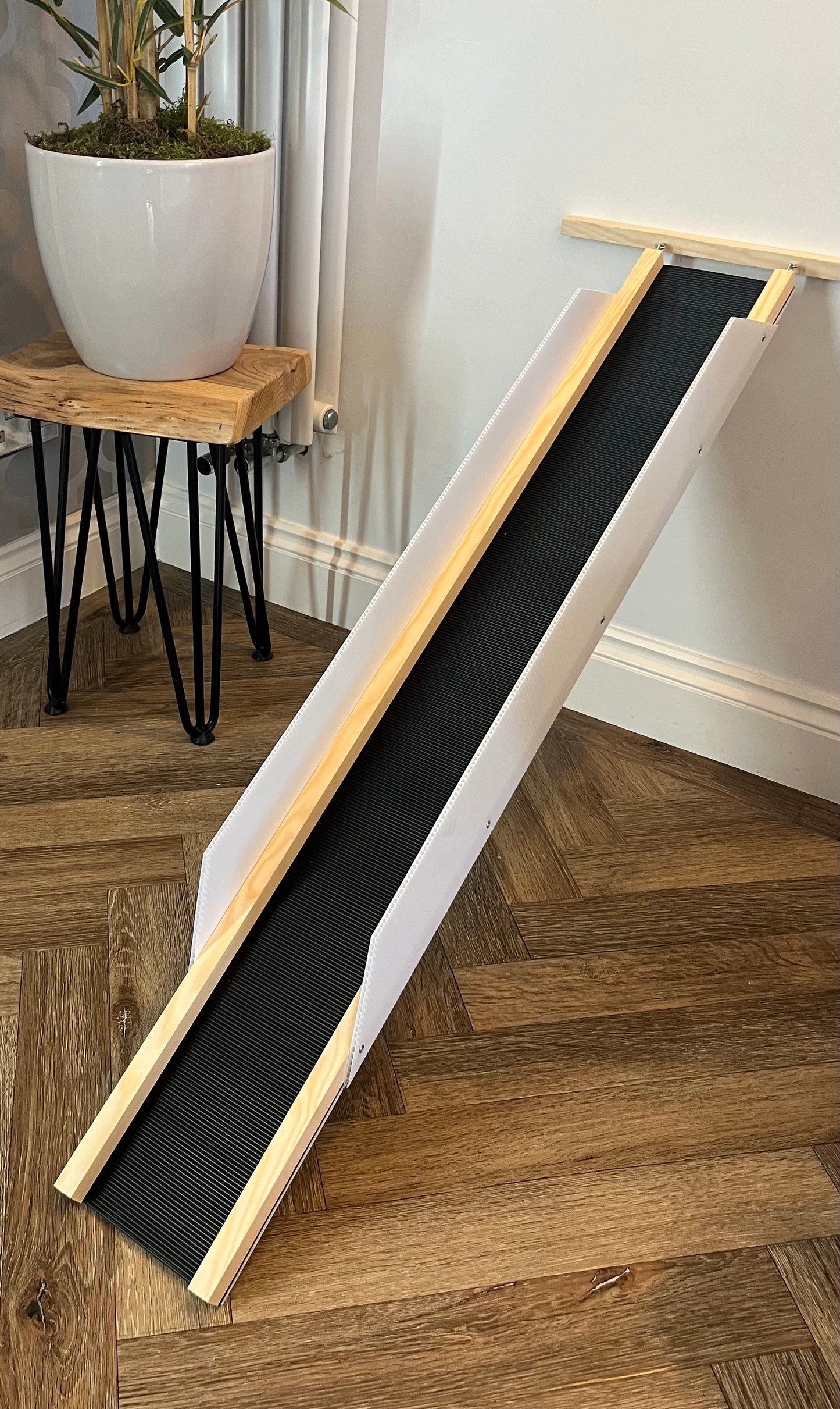 Guinea Pig Ramp (1.2m) - Top Quality