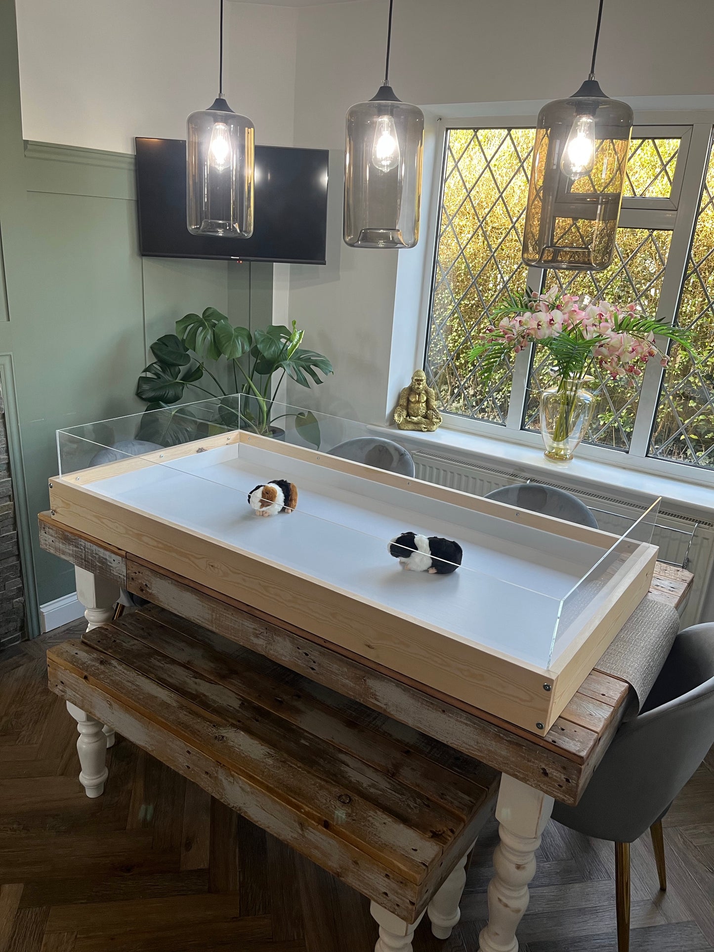 NEW ‘Table Top’ version - Large indoor Guinea Pig Enclosure