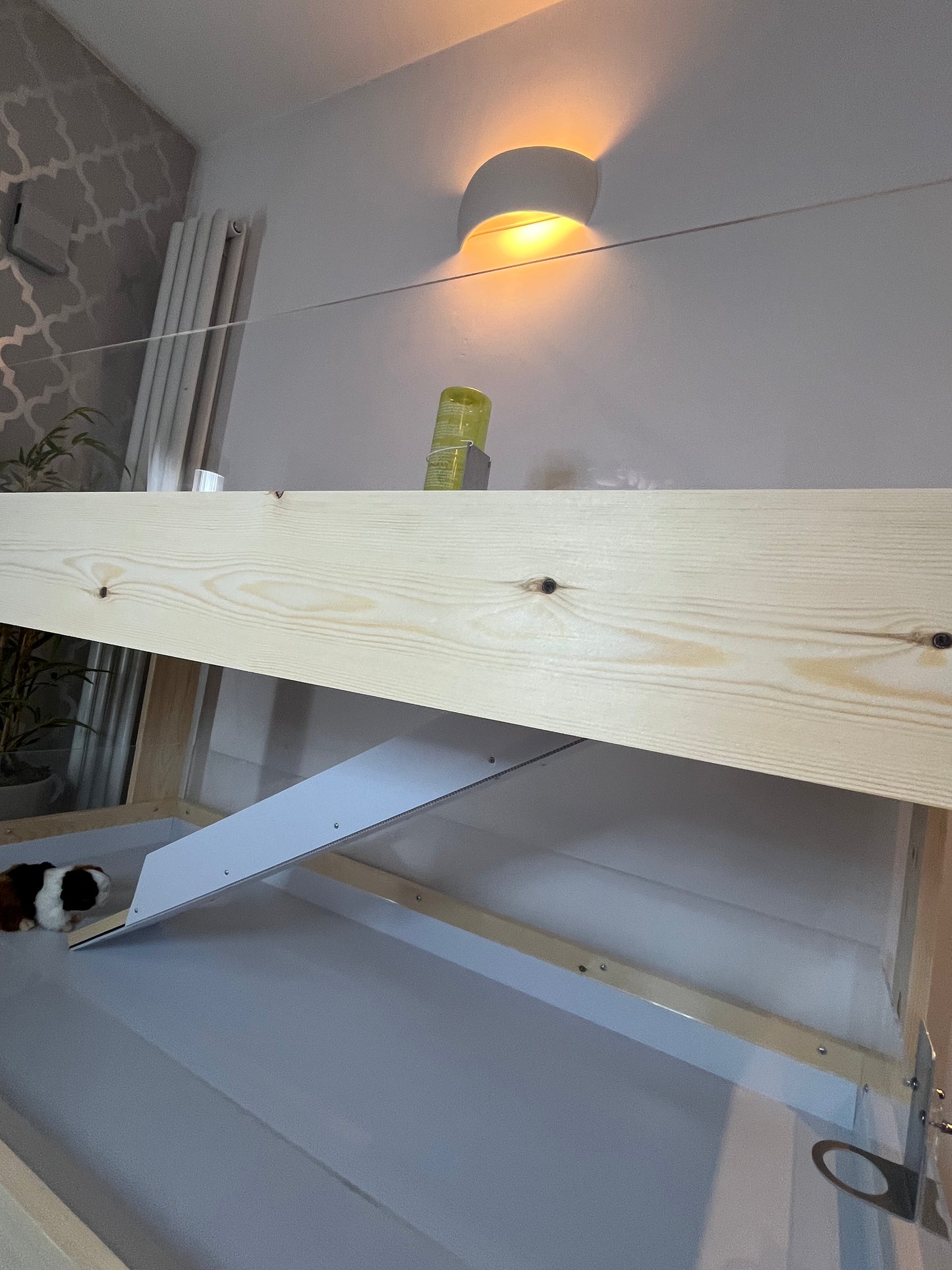 Large Indoor Guinea Pig Enclosure  - Three Levels Joined with Ramp