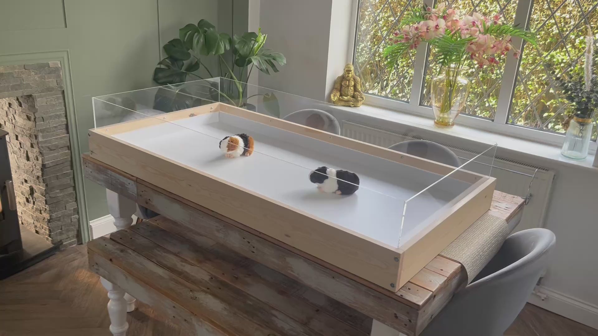 Load video: Two levels with ramp - Full Perspex