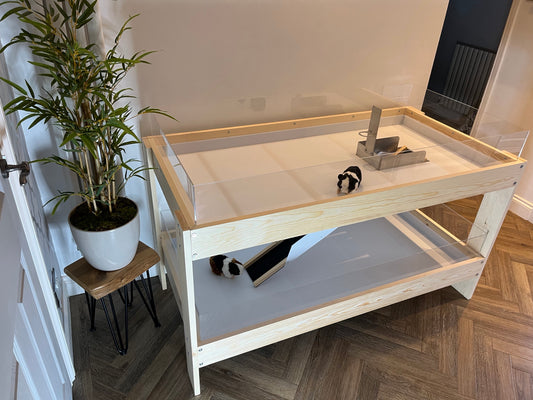 Two storey indoor guinea pig cage with a ramp, made of pine wood with a Perspex front and a plastic tray. The cage is placed on a parquet floor next to a potted plant.